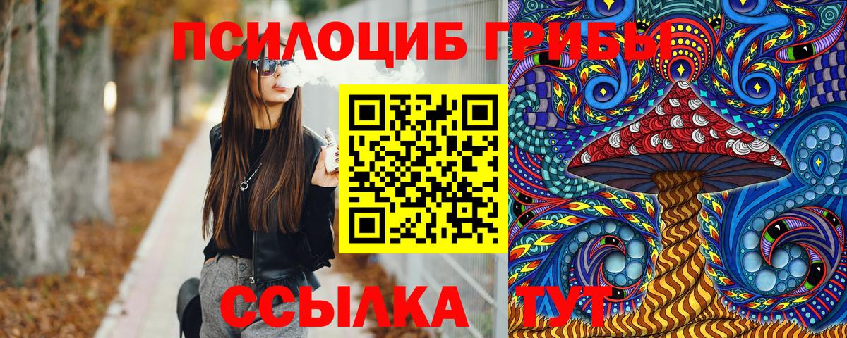 Челябинск  Псилоцибиновые грибы Psilocybe  Вход с VPN 